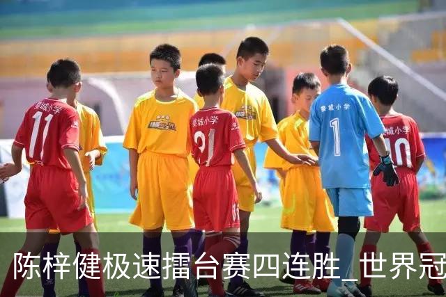 陈梓健极速擂台赛四连胜 世界冠军也挡不住